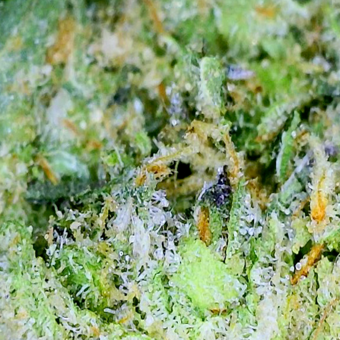 Mac 1 - AAAA Exotic THCA