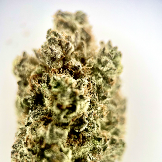 Dante's Inferno - AAAA Exotic THCA