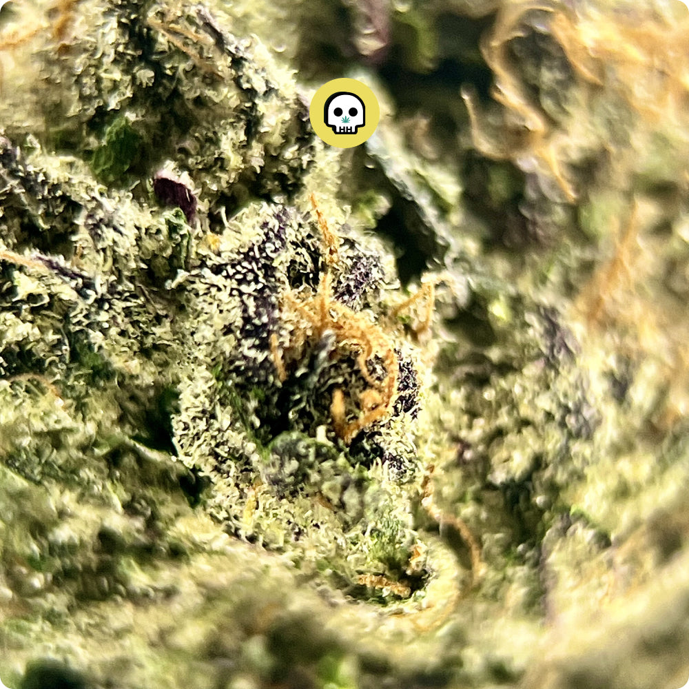 Raspberry Gas
