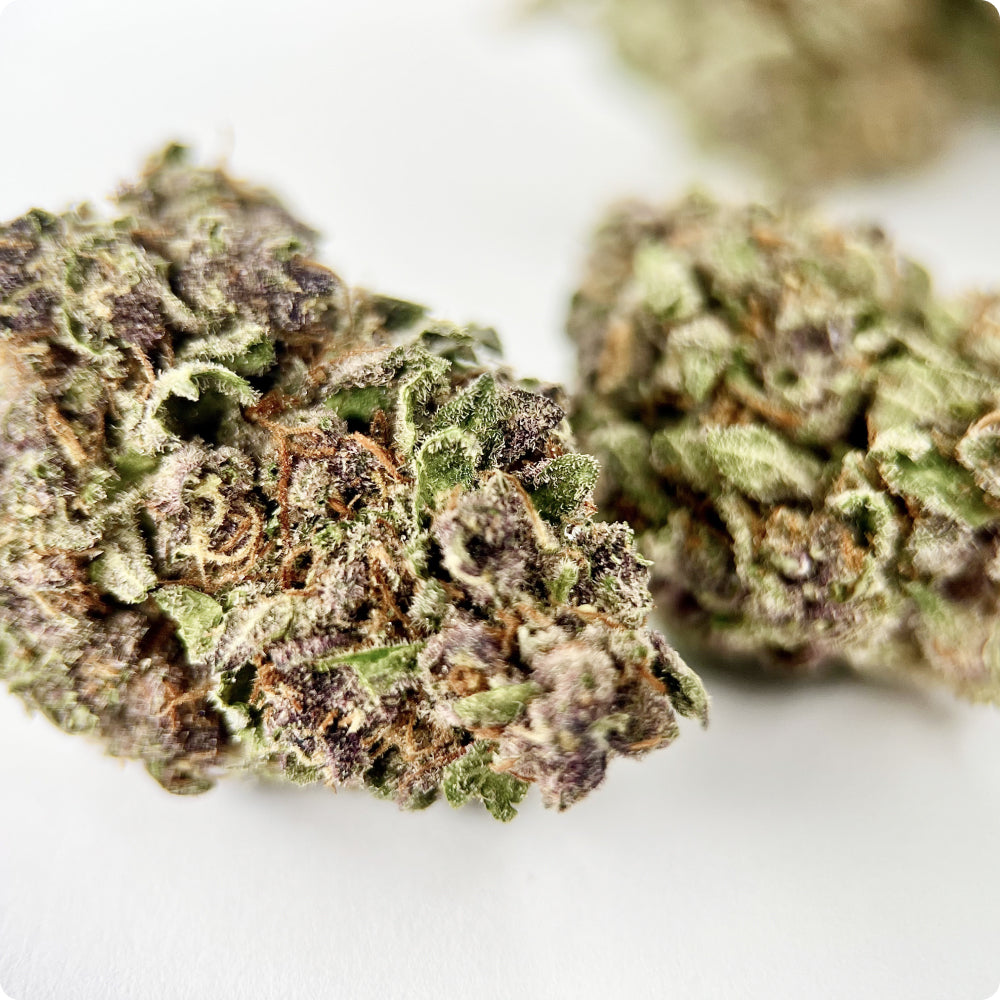Tropical Cherry - Exotic THCA