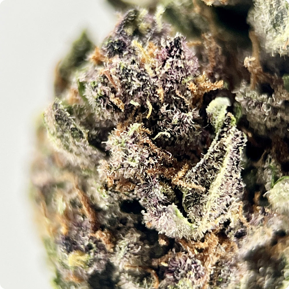 Tropical Cherry - Exotic THCA