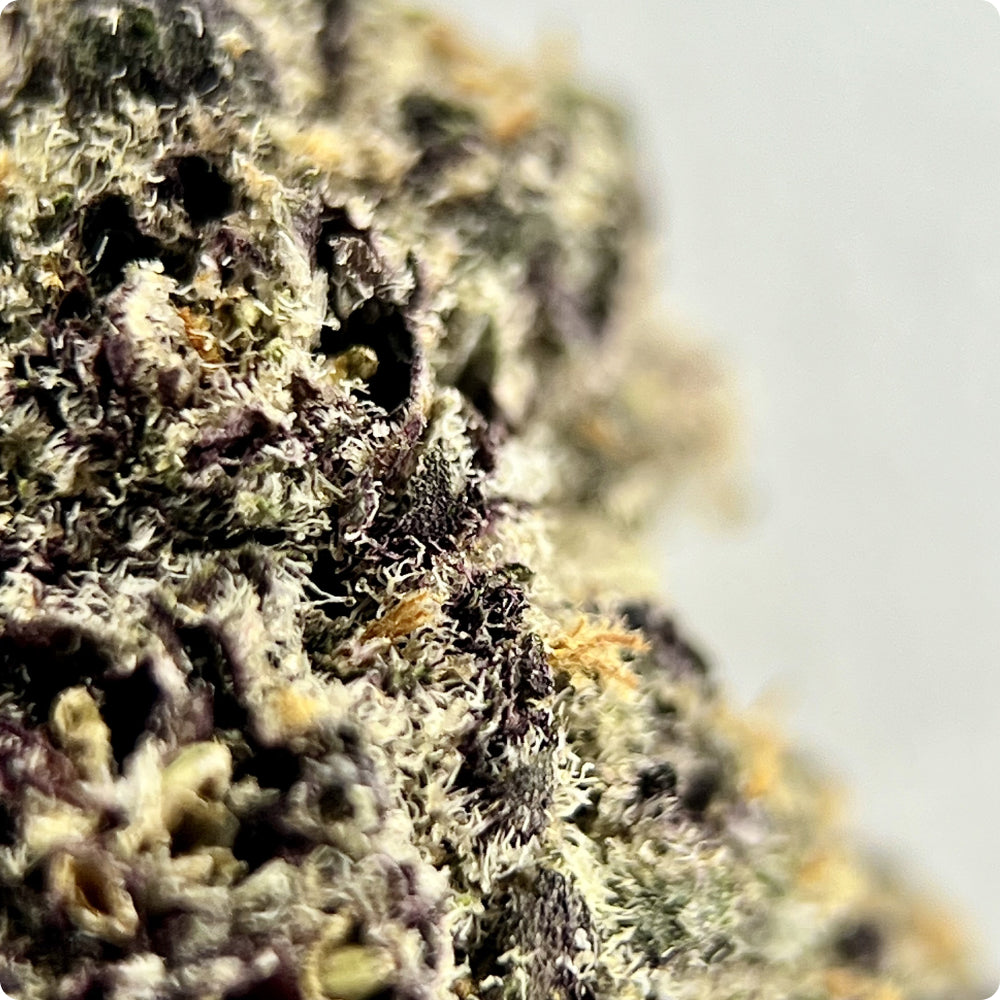 Chimera - Exotic THCA