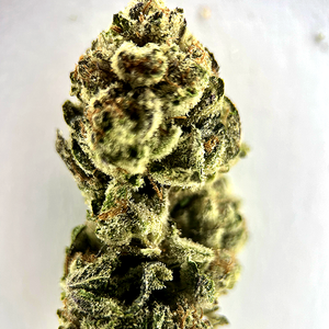 Mac Daddy - AAAA Exotic THCA