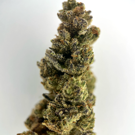 Sundae Gelato - AAAA Exotic THCA