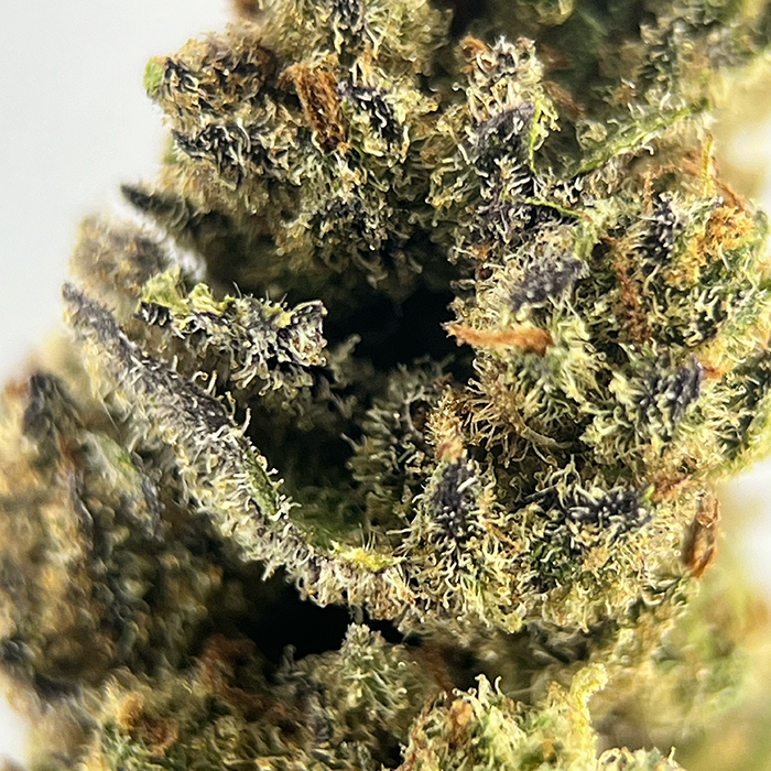 Sundae Gelato - AAAA Exotic THCA