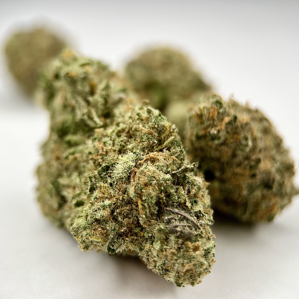 Black Maple - Exotic THCA