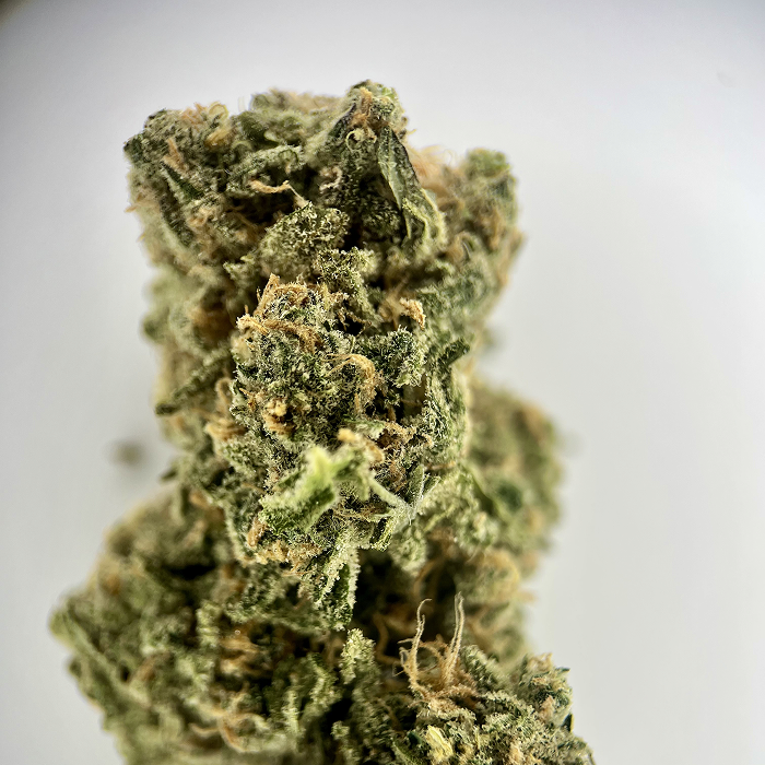 Blue Dream - AAAA Exotic THCA